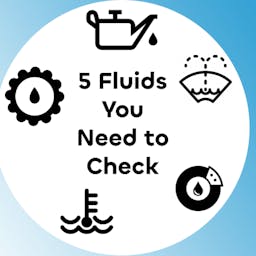 5 Fluids You Need to Check